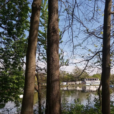View of Bertasee in sportspark Wedau where we go for a walk
